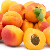 Apricot