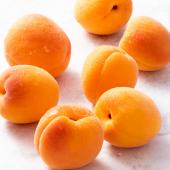 Apricot