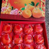 Mandarin Orange XL Size - 16pcs Gift Pack